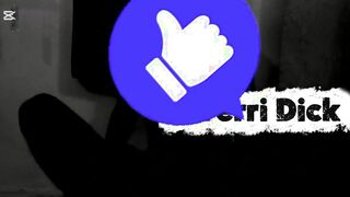 Stunner Trouser snake