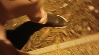 Reto 010 - ambling dogs with chisel outside in the city