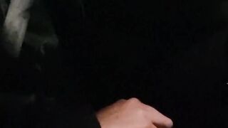 Fapping while driving