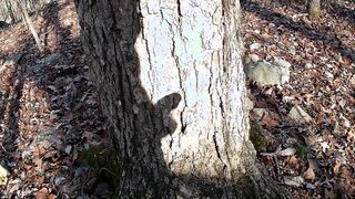 [HIKING] Making SHADOW FUCKPUPPETSlol, URINATING like a sprinkler, and flopping my ENORMOUS PULSING PINK CIGAR while hiking.