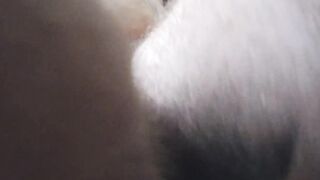 FOREARMS-FREE-FOR-ALL ONANISM