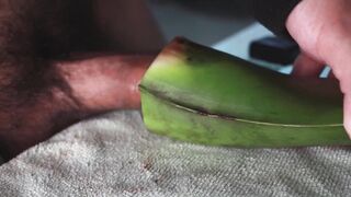 poking an aloe leaf and spunking a gigantic stream