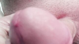 ASMR cock head mushy touching all over your face!