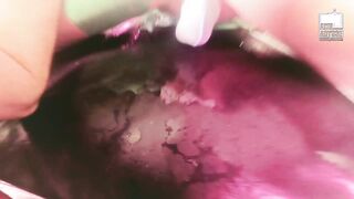 Horny Axel Abysse Ass Wrecked And POV Fisted Mercilessly