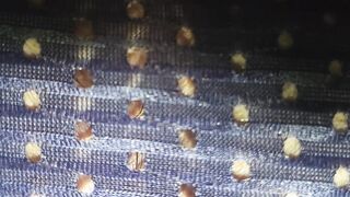 Massive Guy Sits On You POINT OF VIEW