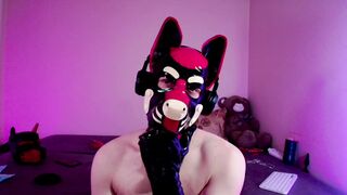 K9GoodBoyS Slow Spandex Taunt Drives Me Naughty