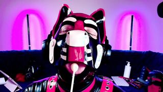 K9GoodBoyS Weenie Smooches And Deep Have fun