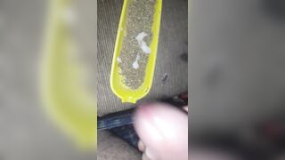 I jizzed all over my weed
