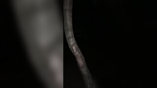 nineteen year aged jack off in public woods at night!