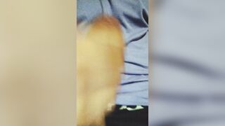 Paw me