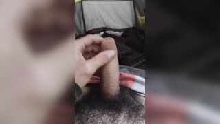 Excellent female