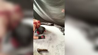 Great puppy finds big black cock!!