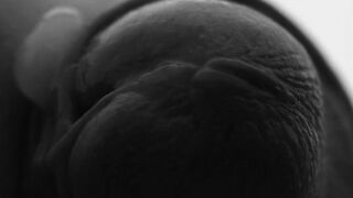 Jism with macro glance