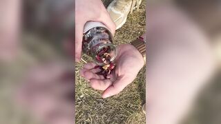 SURVIVAL bushcraft abilities: camping lifehacks outdoors woods asmr