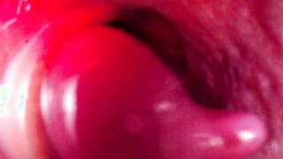 Inward Anal invasion Sight Fat Bad Dragon Rex Humps My Caboose And Finishes off