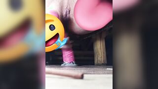 Solo pony fake penis