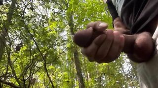 Nutting mischievous in the forest