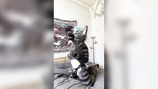 Hyena Gets Wanked