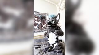 Hyena Gets Wanked