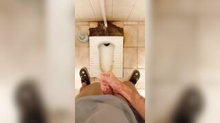 I fap off and jism in a messy public wc