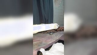 Arrombando o meu cu