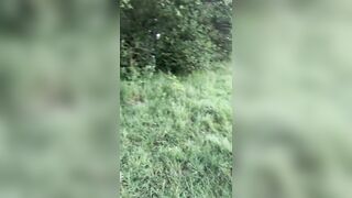 Chub entirely bare in a Public Park