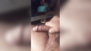 Verga de chacal