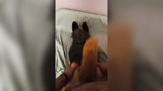 POINT OF VIEW: Youre Boning Your GSD Plushie from Behind