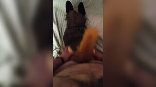 POINT OF VIEW: Youre Boning Your GSD Plushie from Behind