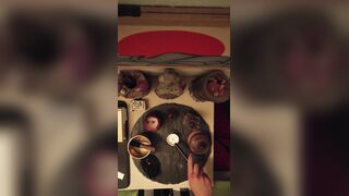 2026/06/08 - Zen Experience – Altar Suggesting