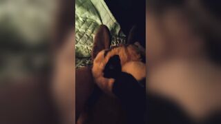 POINT OF VIEW Youre Making Enjoy to Your GSD Plushie and Providing Him Tastey Little Smooches