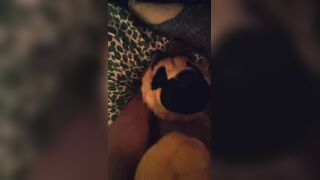 POINT OF VIEW Youre Making Enjoy to Your GSD Plushie and Providing Him Tastey Little Smooches