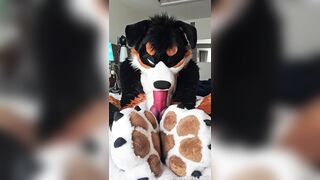 Hairy guy fellates himself and displays off his sensitive rubs
