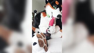 Hairy guy fellates himself and displays off his sensitive rubs