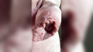 Sensitized uncircumcised penis, trimmed slick, good-sized foreskin, pulsating weenie and scrotum. Large vein. Close up.