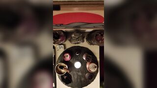 2026/06/13 - Zen Experience – Altar Suggesting