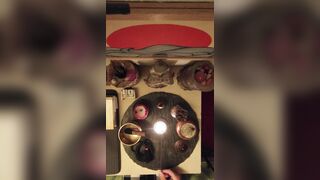 2026/06/11 - Zen Experience – Altar Suggesting