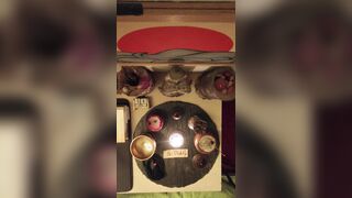 2026/06/11 - Korean Bell Chant