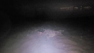 lubed japanese tugging on naked beach