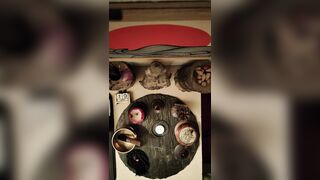 2026/06/nineteen - Zen Experience – Altar Suggesting