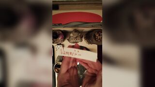2026/06/nineteen - Zen Experience – Altar Suggesting