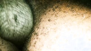 Milking 79
