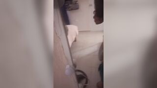 I it at my gfs palace