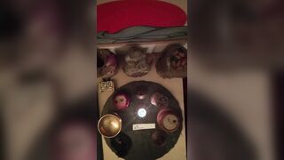 2026/06/26 - Korean Bell Chant