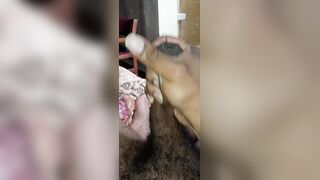 Father Morning Draining uncircumcised Big black cock and humungous explosion