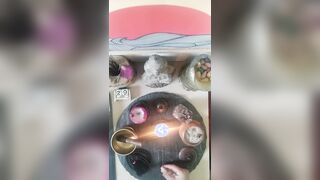 2026/06/29 - Zen Experience – Altar Suggesting
