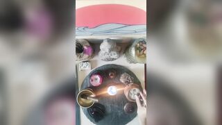 2026/06/29 - Zen Experience – Altar Suggesting