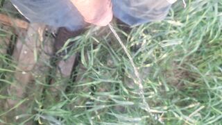 Mature thick schlong pissing outdoor in front yard