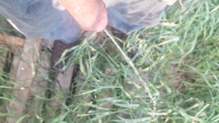Mature thick schlong pissing outdoor in front yard