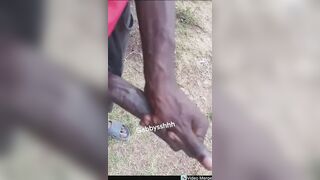 HUMUNGOUS EBONY AFRICAN JUNGLE CRUISE COCK JACK OFF